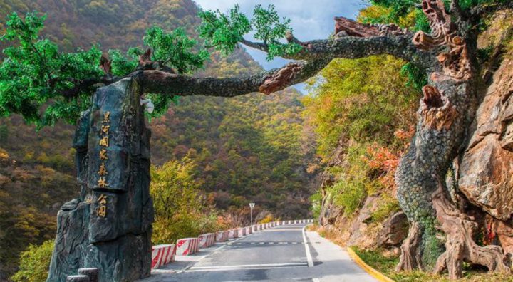 1151804e5dbb4649a7606fe4266c67ac