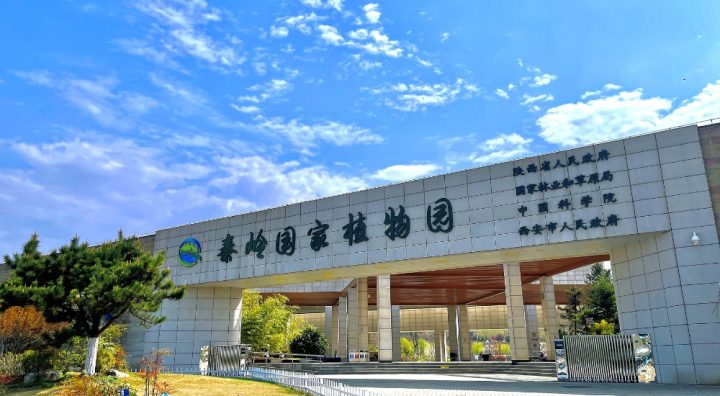 4c4ea3eb0f33462792bc4091c31b2e72