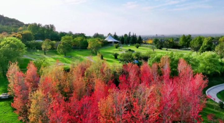 4d15ec763ac44d25bcd1a63a511711f2