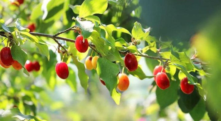 a360c4df93c746ed9c69e8ab2f43144b