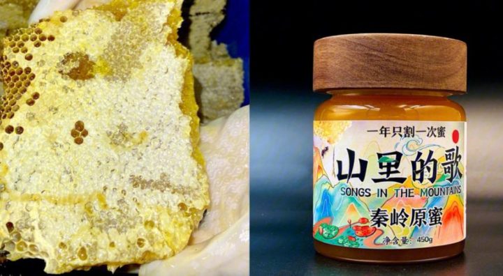 ac03d00b46524b798c4240c3b98d656e