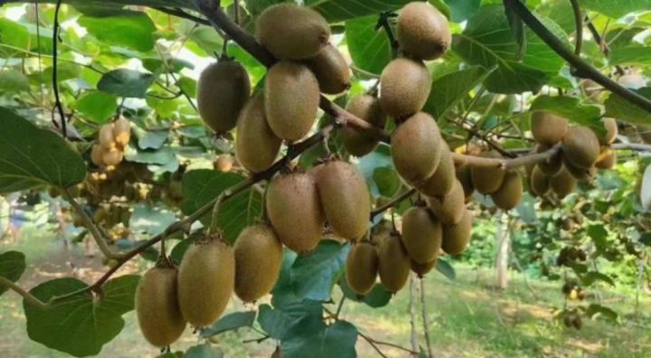 adb739f5e6fa4d728d9efe264e3f931b