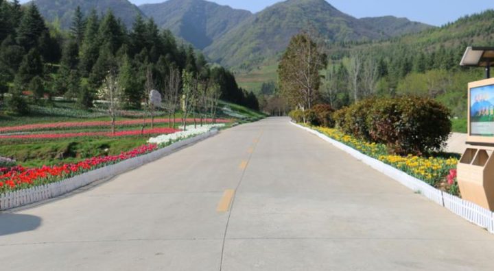 f8c1783912364e23b74dc6ffa43f5472