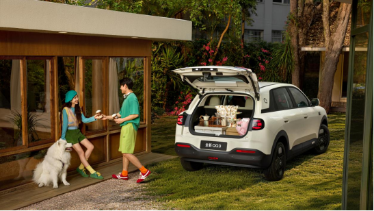 6391310490063959247655636